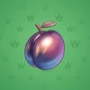Precious Peach #2365