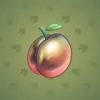 Precious Peach #2384