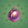 Precious Peach #2404