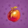 Precious Peach #2429