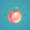 Precious Peach #2467