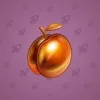 Precious Peach #2479