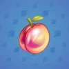 Precious Peach #248