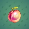Precious Peach #2488
