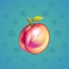 Precious Peach #2567