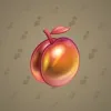 Precious Peach #2584