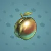 Precious Peach #2585