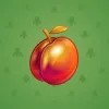 Precious Peach #270