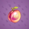 Precious Peach #2701