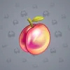 Precious Peach #353