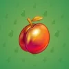Precious Peach #359