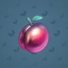 Precious Peach #363