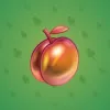 Precious Peach #375