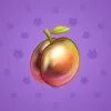 Precious Peach #430