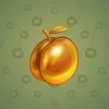 Precious Peach #436