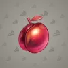 Precious Peach #458
