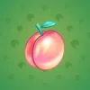 Precious Peach #467