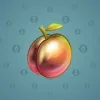 Precious Peach #488