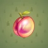 Precious Peach #493