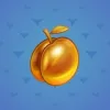 Precious Peach #563