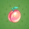 Precious Peach #568