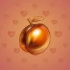 Precious Peach #627