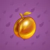 Precious Peach #633