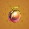 Precious Peach #685