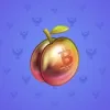 Precious Peach #691
