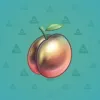 Precious Peach #699