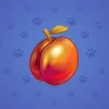 Precious Peach #73