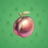 Precious Peach #757