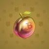 Precious Peach #772