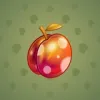 Precious Peach #781