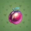Precious Peach #799