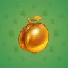 Precious Peach #818