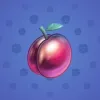 Precious Peach #852