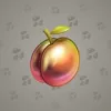 Precious Peach #879