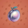 Precious Peach #885