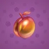 Precious Peach #916