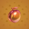 Precious Peach #95