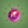 Precious Peach #973