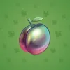 Precious Peach #985