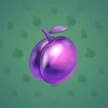 Precious Peach #989