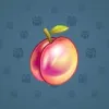 Precious Peach #997