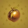 Precious Peach #998