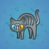 Scared Cat #10111