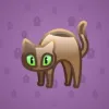 Scared Cat #10121