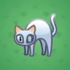 Scared Cat #10215