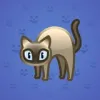 Scared Cat #1048